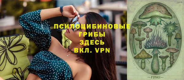 ешки Магас