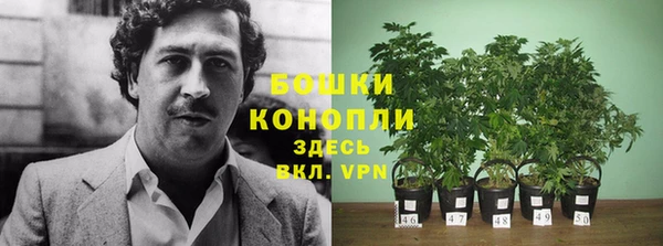 стаф Ачинск