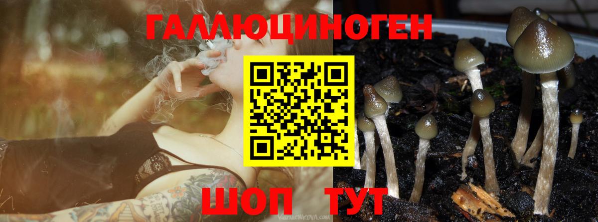 Псилоцибиновые грибы ЛСД Петропавловск-Камчатский